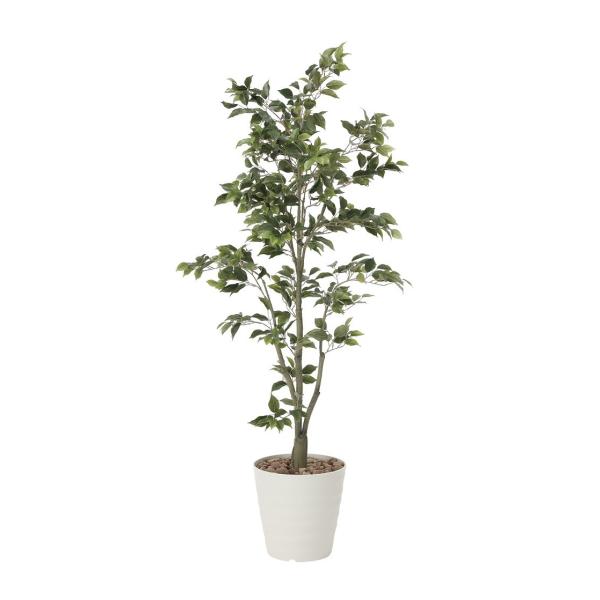 ylHϗtAzytBJXc\1.8zy1.8zyG}HzyzytFCNO[zysz