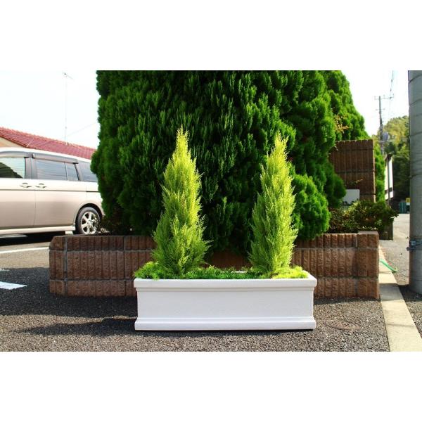 OΉ S[hNXg^AWg ͂Ȃ tFCNO[ fBXvC  X w lH   ǎ JΉ lHϗtA ̎s