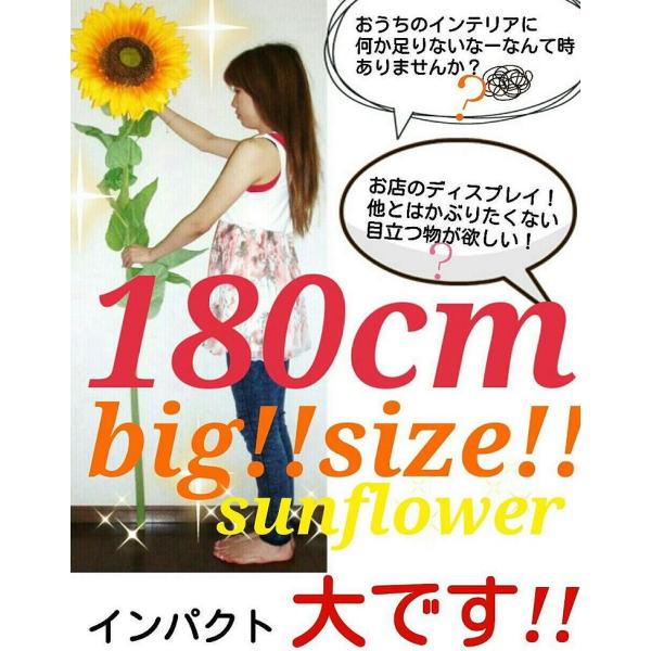 ヒマワリ 人気のため再入荷 特大 大きい 毎年大人気 180cm 黄色 造花 送料無料 Buyee Buyee Japanese Proxy Service Buy From Japan Bot Online
