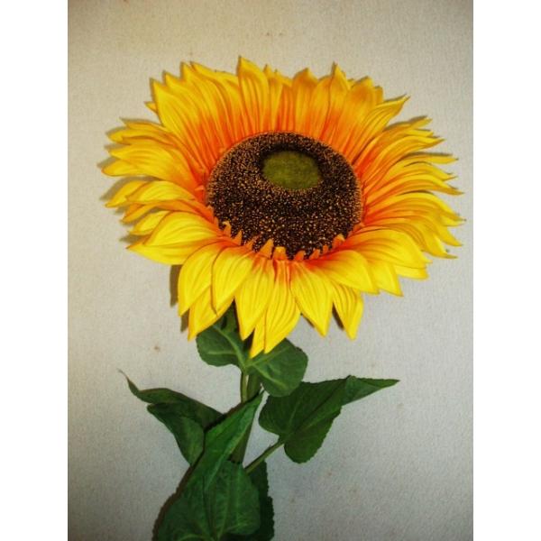 ヒマワリ 人気のため再入荷 特大 大きい 毎年大人気 180cm 黄色 造花 送料無料 Buyee Buyee Japanese Proxy Service Buy From Japan Bot Online
