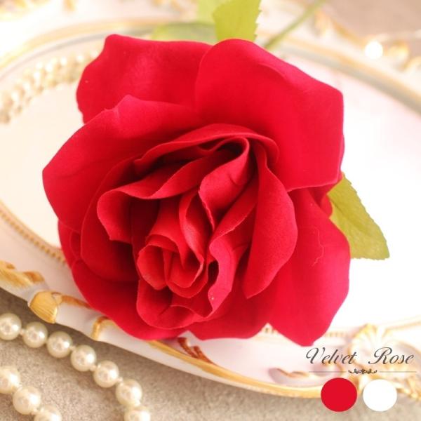 o   Pi ʒ\ ԑɂ IXX [Y