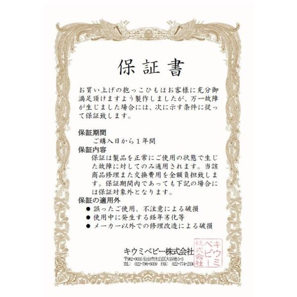 日本正規品 保証付 抱っこ紐 キウミの抱っこひも グレースター ポーチ付き 着脱簡単 携帯便利 丸洗い おしゃれ Buyee Buyee Japanese Proxy Service Buy From Japan Bot Online