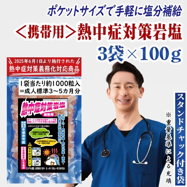 熱中症対策義務化対応 ヒマラヤ岩塩 3袋 100g(約3000粒) 小粒タイプ 塩分補給 ポケットサイズ 携帯用 ミネラル豊富 無添加 スポーツ 野外作業 ポイント消化