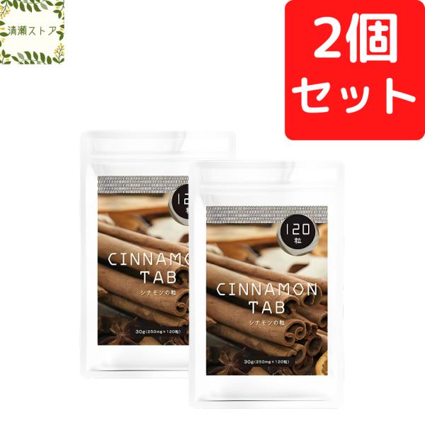 シナモンの粒 120粒 2個セット シナモン サプリメント シナモン粉末 旧販売名：シナモンの錠剤 新パッケージ 送料無料 追跡可能メール便