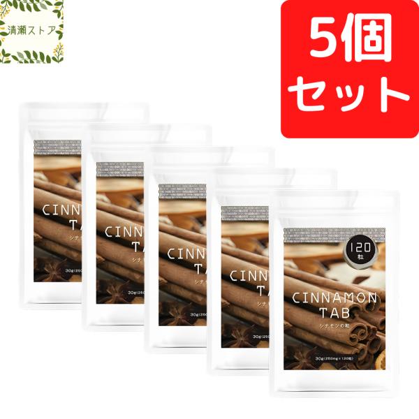 シナモンの粒 120粒 5個セット シナモン サプリメント シナモン粉末 旧販売名：シナモンの錠剤 新パッケージ 送料無料 追跡可能メール便