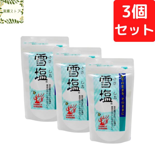 雪塩 120g×3個セット 宮古島の雪塩 ミネラル 無添加 パウダー 塩 しお 甘味 天ぷら にがり パラダイスプラン 沖縄 お土産 送料無料 追跡可能メール便