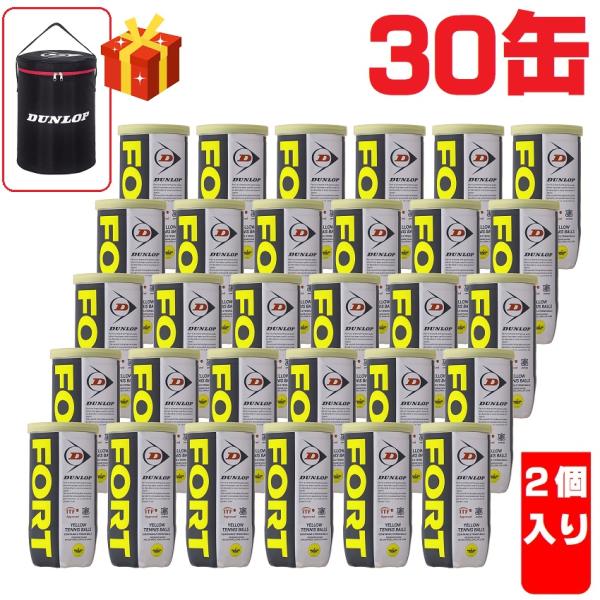 テニスボール硬式 FORT 30缶 DUNLOP ダンロップ FORT フォート 2球×30缶 60球 1箱 DFEYL2DOZ