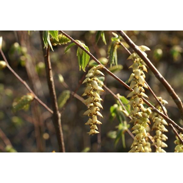 N}VfiFljc؁@30`50cmO