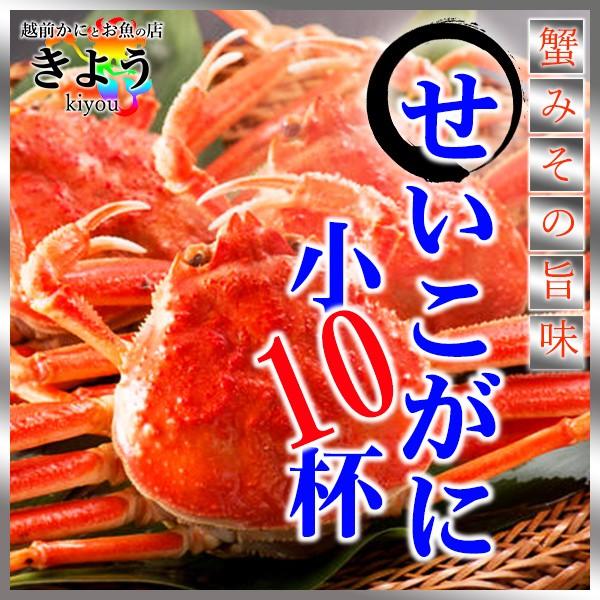 期間限定 越前せいこがに セイコガニ セコガニ 香箱蟹 小10杯 ずわいがに かに カニ 福井 お歳暮 ご贈答 送料無料 越前かにとお魚の店 きよう 通販 Yahoo ショッピング