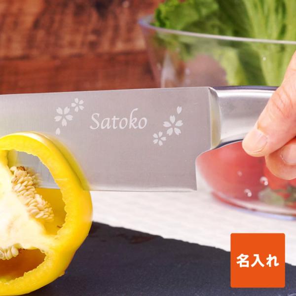 j v[g    O Mtg I[XeX O LO  a  j  170mm 悭؂ LOi