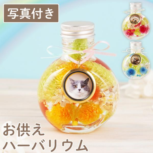 【ふわふわメモリーハーバリウム】大げさではなく、でも心を込めて届けたい。そんな想いにそっと寄り添う、“ほんの気持ち”の贈り物。手のひらサイズで、気軽に贈れるお供えお供えハーバリウムです。虹の橋をわたってしまった大切なペットちゃんを思い出せる...