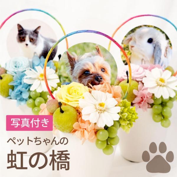 お供え 花 ペット 虹の橋 プリザーブドフラワー お悔やみ 枯れない花 お花 アレンジ 写真入り 犬 猫 うさぎ 仏花 仏壇用 供花 供養花 枕花 命日