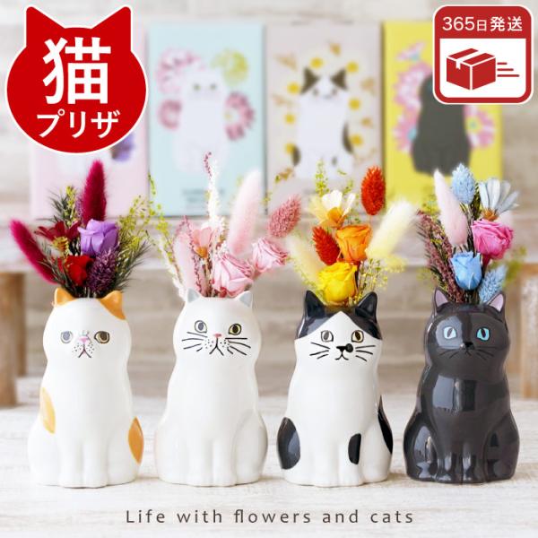 【ちょこんと座る猫プリザ】猫好きさん必見！陶磁器の猫花瓶にプリザーブドフラワーの花束を生けました♪玄関やデスクの上、窓辺やキッチンなどどんな場所にも置ける猫ちゃんインテリアボックスパッケージに合わせた花束でギフトにピッタリ！エキゾチック、ハ...