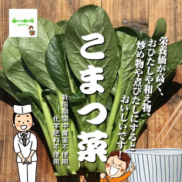 ※3袋以上ご購入の方は、１袋にまとめて袋詰めさせていただきます。予めご了承ください。１袋ずつのご希望の方は、備考欄にお書きください。こちらのこまつ菜（小松菜)は、埼玉県産で、畑からの贈り物きづファームが有機肥料を入れて、栽培期間中農薬不使用...