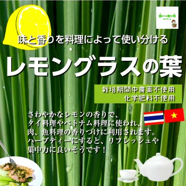 レモングラス レモングラスの葉 栽培期間中農薬不使用 化学肥料不使用 約８０g Buyee Servis Zakupok Tretim Licom Buyee Pokupajte Iz Yaponii