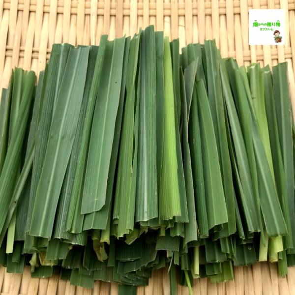 レモングラス レモングラスの葉 栽培期間中農薬不使用 化学肥料不使用 約８０g Buyee Buyee 日本の通販商品 オークションの代理入札 代理購入