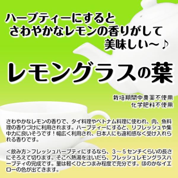 レモングラス レモングラスの葉 栽培期間中農薬不使用 化学肥料不使用 約８０g Buyee Buyee 日本の通販商品 オークションの代理入札 代理購入