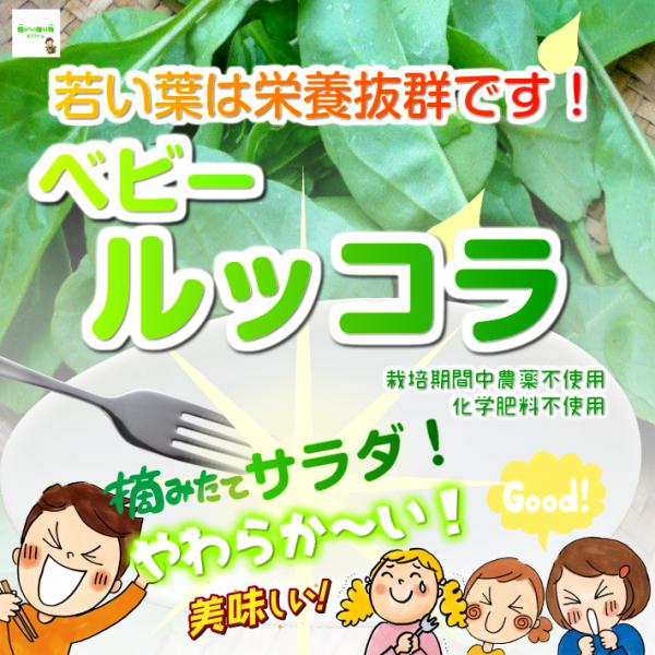 ベビールッコラ Baby Rukkola Baby Roquette Baby Arugula 栽培期間中農薬不使用 化学肥料不使用 埼玉県産 １袋 Buyee Buyee Japanese Proxy Service Buy From Japan Bot Online
