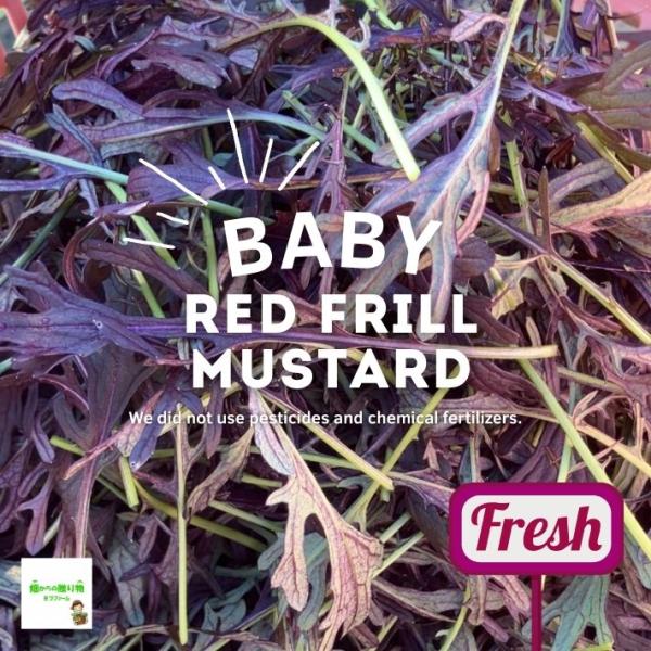 ※3袋以上ご購入の方は、１袋にまとめて袋詰めさせていただきます。あらかじめご了承ください。１袋ずつのご希望の方は、備考欄にお書きください。こちらのベビー赤からし水菜は、埼玉県産で、畑からの贈り物きづファームが有機肥料を入れて、栽培期間中農薬...
