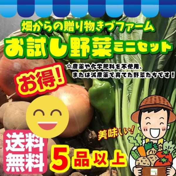 ※クール便の場合、追加料金があります。配送先により追加料金が異なります。クール便ご希望の方は、備考欄に記載してください。こちらのお試し野菜セットは、畑からの贈り物きづファームで生産した、栽培期間中農薬不使用、化学農薬不使用、低農薬、減農薬、...