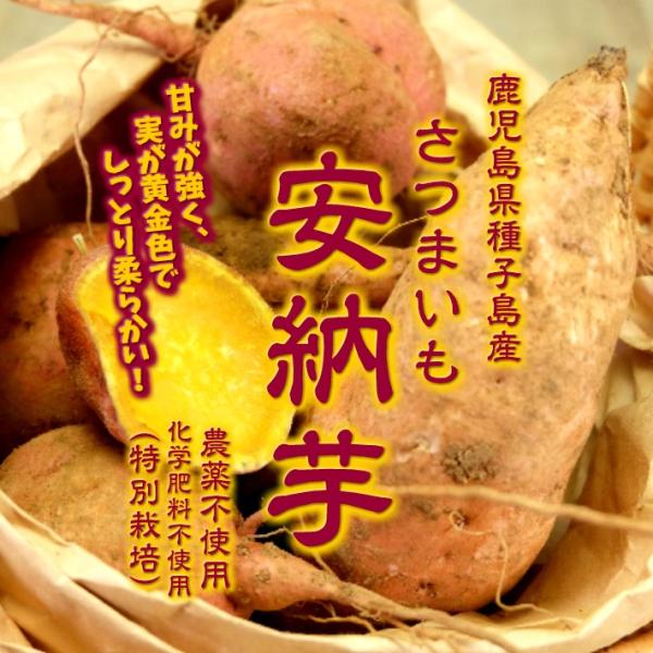 種子島産安納芋　農薬不使用　2L23キロ 鹿児島県種子島産 さつまいも安納芋 農薬不使用・化学肥料不使用（特別