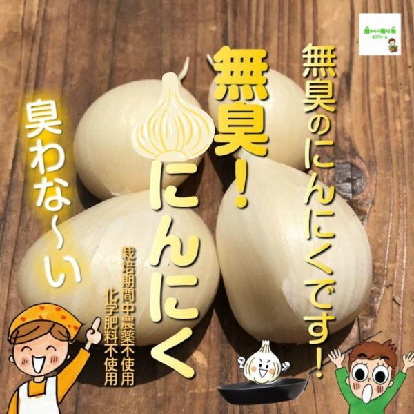 ジャンボニンニク10キロ(農薬,化学肥料不使用) ジャンボニンニク10キロ(農薬,化学肥料不使用)の通販 by