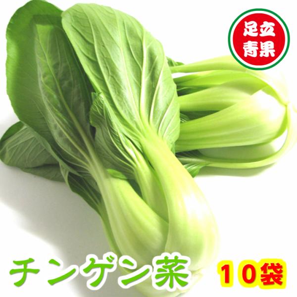 埼玉県産 静岡県産 茨城県産 千葉県産 他 チンゲン菜 青梗菜 チンゲンサイ １０袋 他商品と同梱ｏｋ Buyee Buyee Jasa Perwakilan Pembelian Barang Online Di Jepang