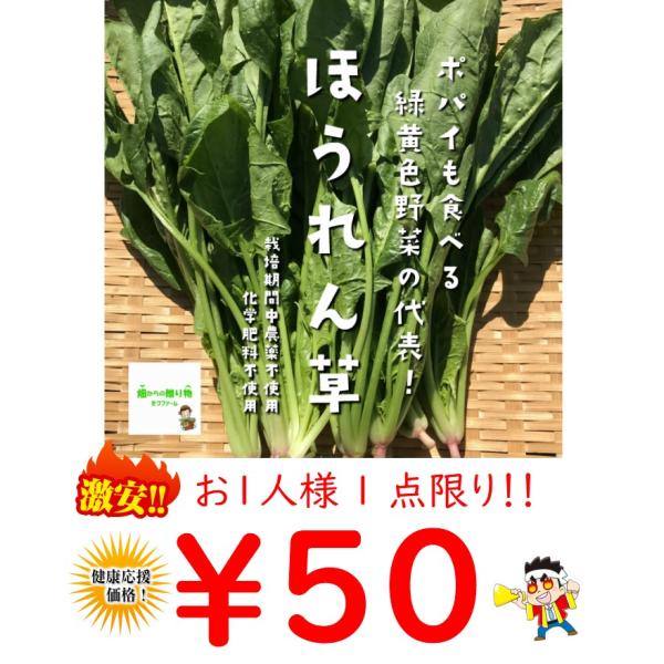 ※単品購入は必ず送料がかかります※こちらの商品はお1人様1点限りとなります。※「店内商品３品以上お買い上げで、1品サービス！(おまけ)」実施中ですが、５０円の商品や野菜セットは含みません。申し訳ありませんが、ご了承ください。 こちらのほうれ...