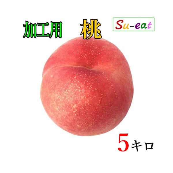 晩星摘果桃 10kg 加工用 暁星 桃 加工用 10kg 暁星 桃 加工用 10kg 摘果桃 高級摘果桃 加工