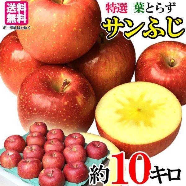 特選 サンふじ りんご 減農薬 10キロ : Su-eat Farm - 通販