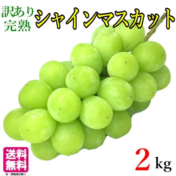 シャインマスカット　2kg　粒　訳あり　プレゼント