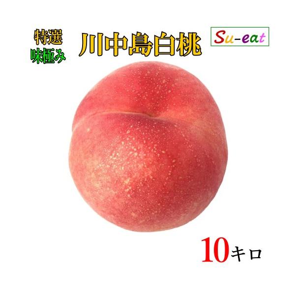 8月下旬〜9月上旬 特選 川中島白桃 減農薬 長野県産 10キロ : Su
