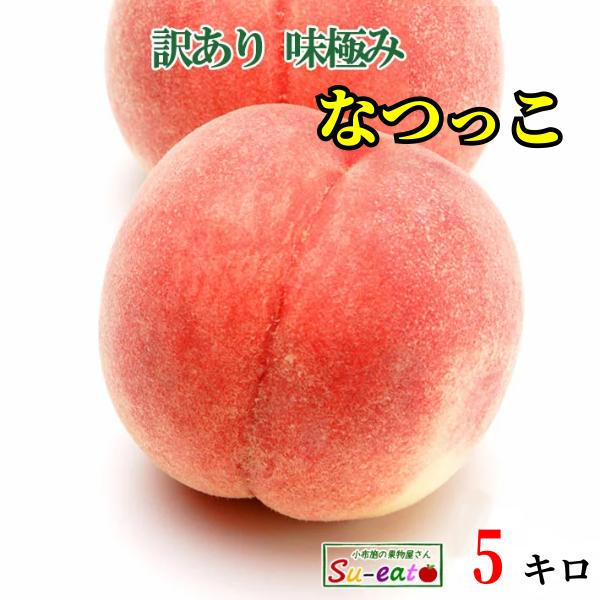 うさこさん専用　　桃　川中島　わけあり　大+中10kg 訳あり桃『川中島白桃』 7～11玉(3kg前後) | やなぎさわ農園 果