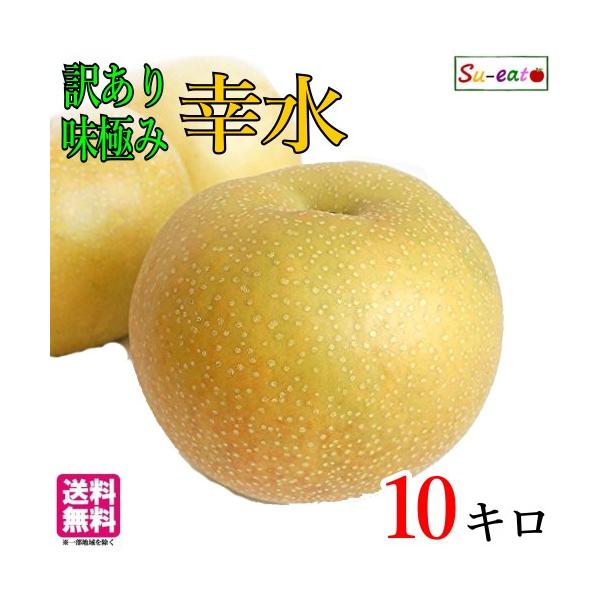 8月下旬〜9月上旬 訳あり 梨 幸水 減農薬 長野県産 10キロ : Su