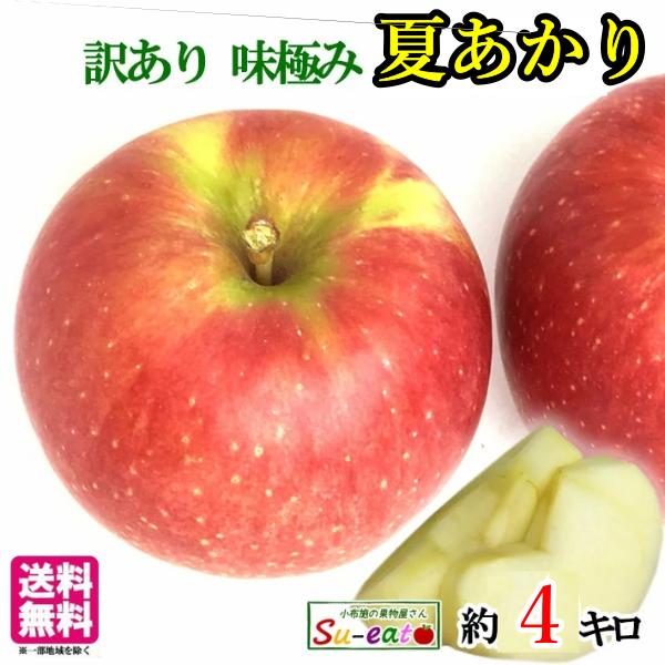 8月上旬〜中旬 夏あかり 訳あり りんご 減農薬 長野県産 4キロ :natuakari5:Su-eat Farm 通販 山形県産 減農薬栽培 りんご 「夏あかり」2キロ箱 無選果