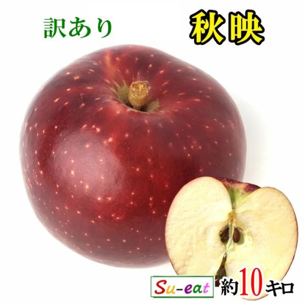 9月下旬〜10月上旬　秋映 りんご　訳あり　減農薬 長野県産 10キロ