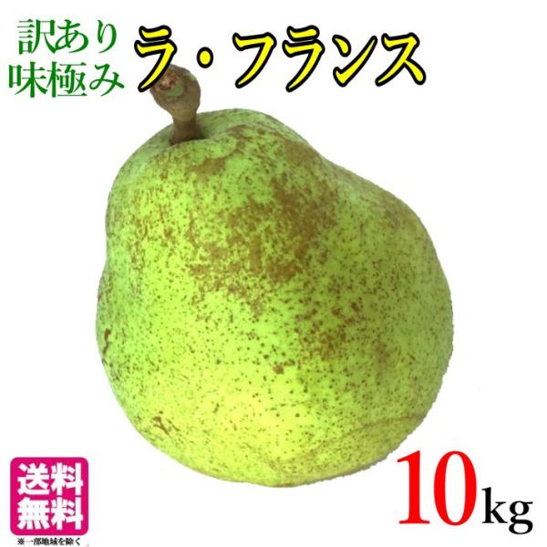 10月中旬〜下旬　訳あり 洋梨 ラ・フランス 減農薬 長野県産 10キロ