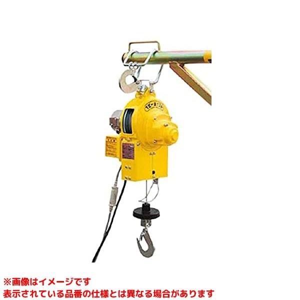 ベビーホイスト　ホイスト ベビーホイスト トーヨーコーケン(TKK) 電気チェーンブロック