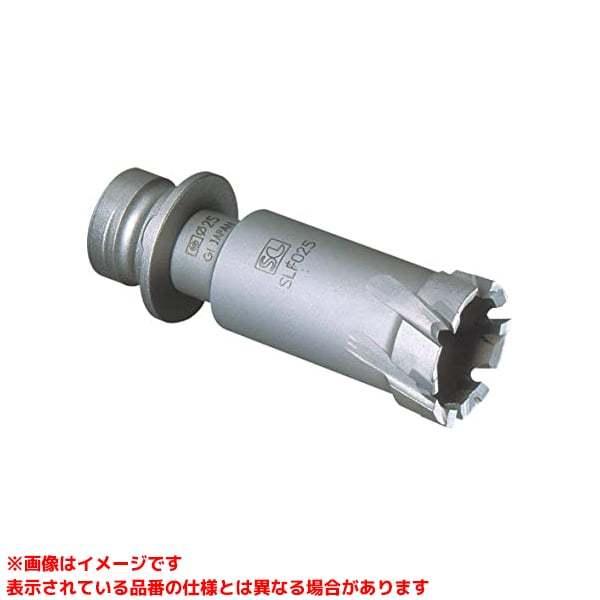 【数量限定】ミヤナガ SL 深穴ホールソー SLF042 Amazon.co.jp: ミヤナガ SL 深穴ホールソー SLF042 : DIY・工具・ガーデン