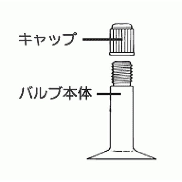 IRC X|[cԈ֎q`[uiăouj