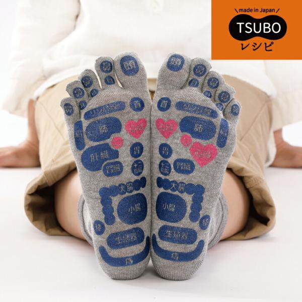 TSUBOVs ڌC ڃ}bv 5{w\bNX C fB[X { 22-25cm wl p lC   LO v[g N c{