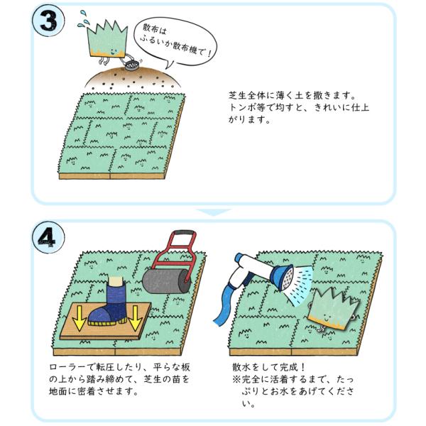 芝 ロール マット 芝生 ケンタッキーブルーグラス ミッドナイト ロール芝 約1平米 2ロール 常緑芝生 エバーグリーン 寒地型芝生 ロール芝 切芝 直送 Buyee Buyee Japanese Proxy Service Buy From Japan Bot Online