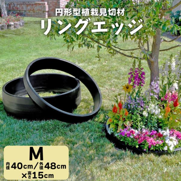 K[fjO tFX OGbW MTCY a40cm 15cm Ԓd diy d؂ ؂ y T[N
