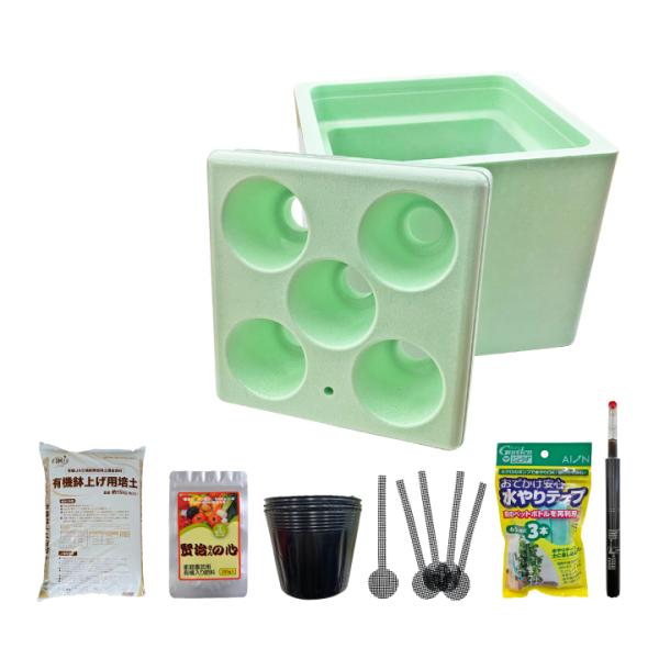kkb-green_gf10-07-330