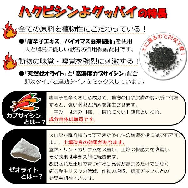 ハクビシン対策 ハクビシンよグッバイ 屋外用 500g ハクビシン対策 モグラ退治 モグラ駆除 アライグマ撃退 カプサイシン入り忌避剤 Buyee Buyee Jasa Perwakilan Pembelian Barang Online Di Jepang
