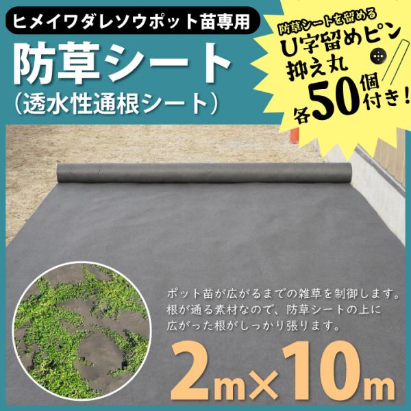 kkb-green_gf3-03-210