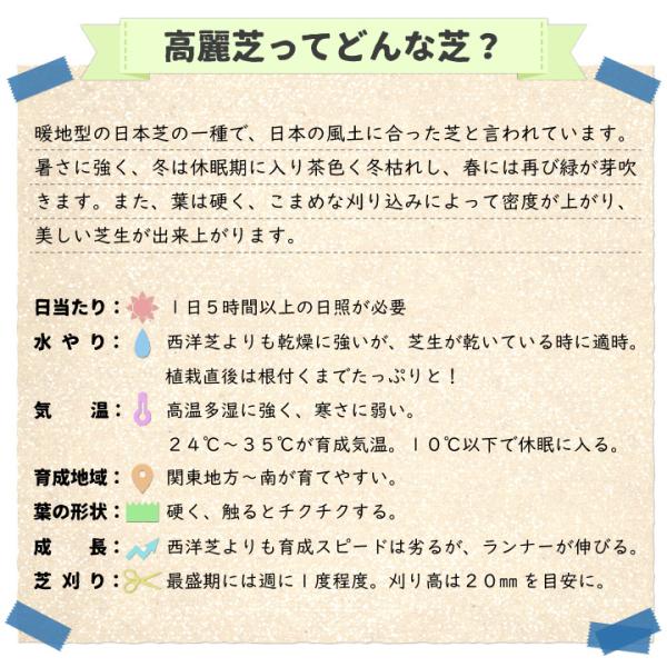 芝 芝生 高麗芝 ポット苗 25苗 補植用 キューブ苗 高麗芝 切芝 切り芝 補修 傷んだ芝生 芝生 修復 Buyee Buyee Japanese Proxy Service Buy From Japan Bot Online