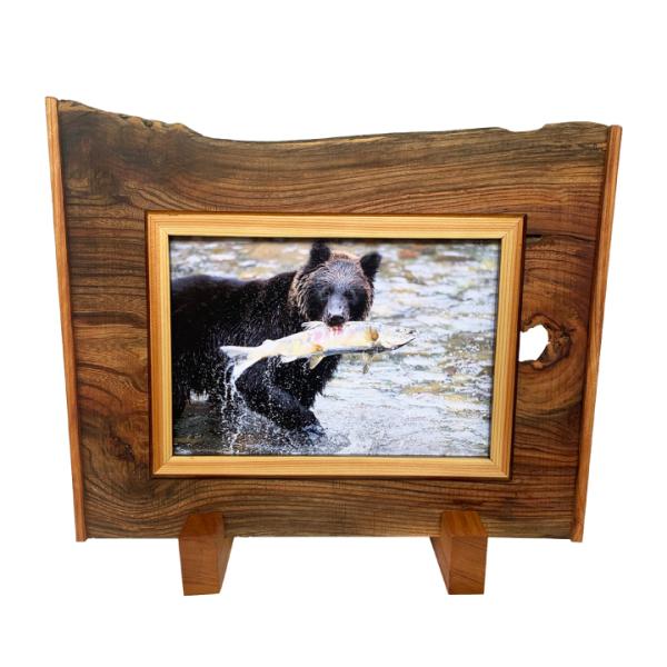 y1_́zÍރnhCh ʐ^ 4 nhCh tHgt[ A3 TCY 29.7cm×42.0cm ʐ^ ؍ Í&lt;br&gt;