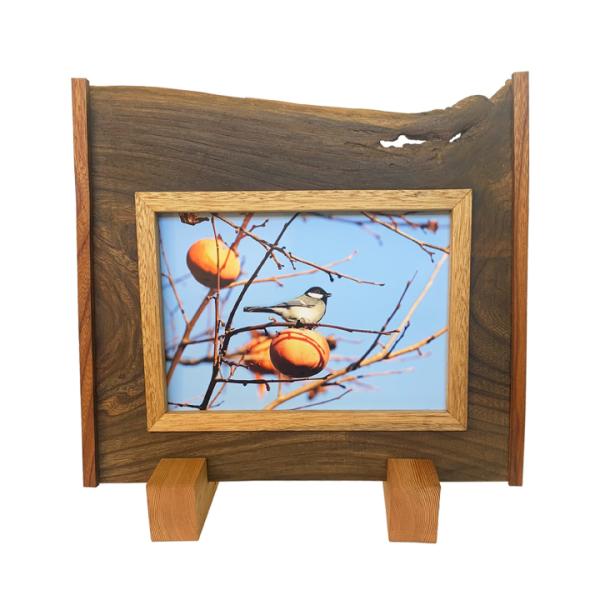 y1_́zÍރnhCh ʐ^āi5jnhCh tHgt[ A4 TCY21.0cm×29.7cm ʐ^ ؍ Í&lt;br&gt;