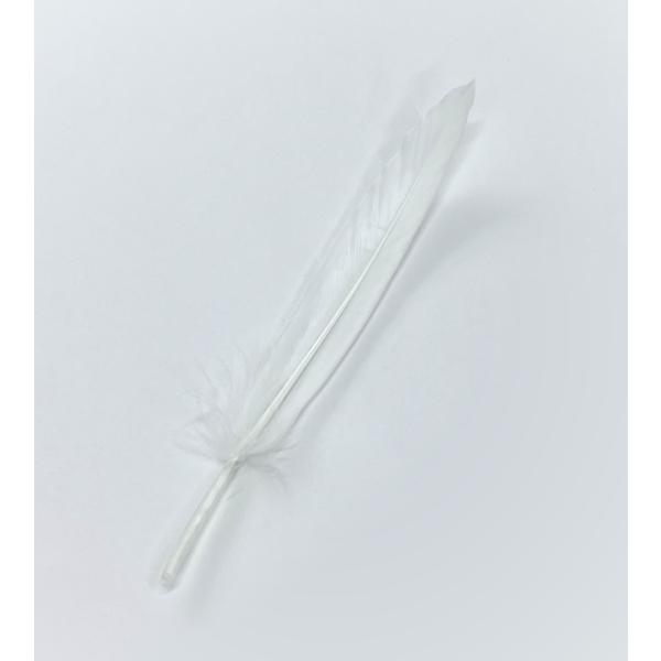 オーボエやファゴットのリード内側の水分等を取り除きます。鳥種：水鳥